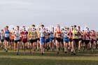 Senior mens Northern Cross Country  Championships, Pontefract. Photo: David T. Hewitson/Sports for All Pics